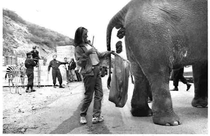 Raw Materials: Smells Better than Your Average Papermill as Well